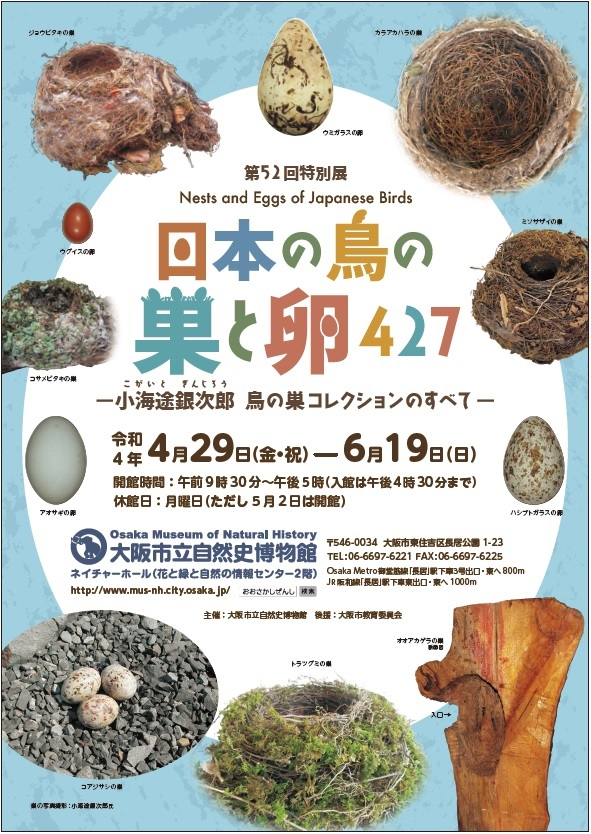 What's New: 2022年04月 アーカイブ